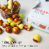 애플쥬베 사과대추(대과/중과) - 1.6kg